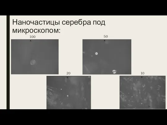 Наночастицы серебра под микроскопом: 100x 50x 20x 10x