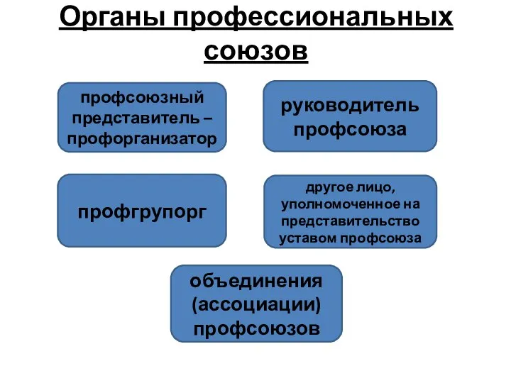 Органы профессиональных союзов профсоюзный представитель – профорганизатор профгрупорг другое лицо, уполномоченное