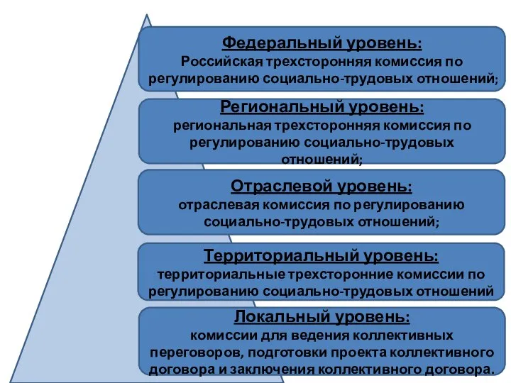 Федеральный уровень: Российская трехсторонняя комиссия по регулированию социально-трудовых отношений; Региональный уровень:
