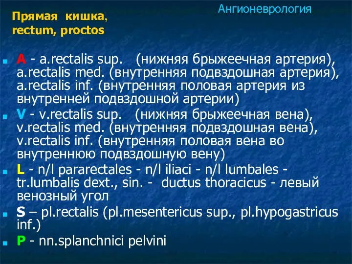 A - a.rectalis sup. (нижняя брыжеечная артерия), a.rectalis med. (внутренняя подвздошная