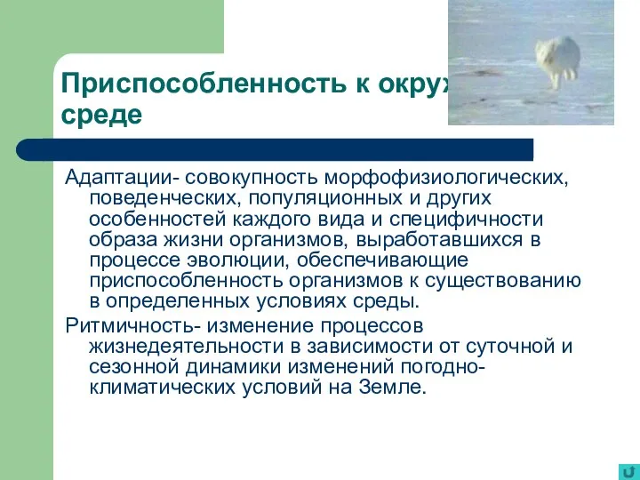 Приспособленность к окружающей среде Адаптации- совокупность морфофизиологических, поведенческих, популяционных и других