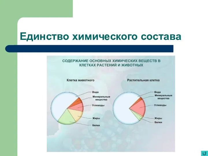 Единство химического состава