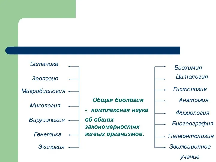 Общая биология Ботаника Зоология Микробиология Микология Вирусология Биохимия Цитология Гистология Анатомия