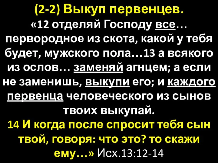 (2-2) Выкуп первенцев. «12 отделяй Господу все… первородное из скота, какой