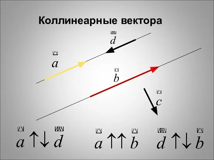 Коллинеарные вектора