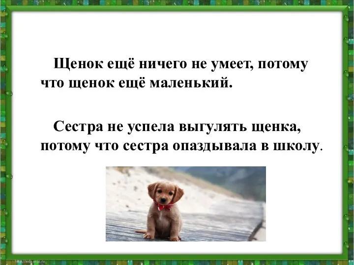 Щенок ещё ничего не умеет, потому что щенок ещё маленький. Сестра