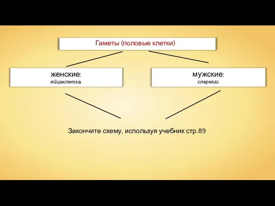 мужские: спермии. женские: яйцеклетка. Гаметы (половые клетки) Закончите схему, используя учебник стр.89