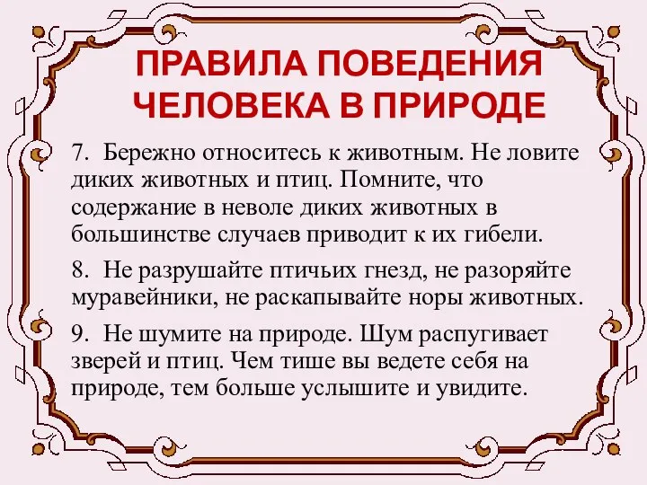 ПРАВИЛА ПОВЕДЕНИЯ ЧЕЛОВЕКА В ПРИРОДЕ 7. Бережно относитесь к животным. Не