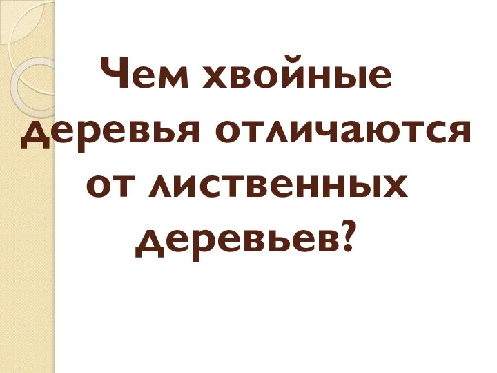 Чем хвойные деревья отличаются от лиственных деревьев?