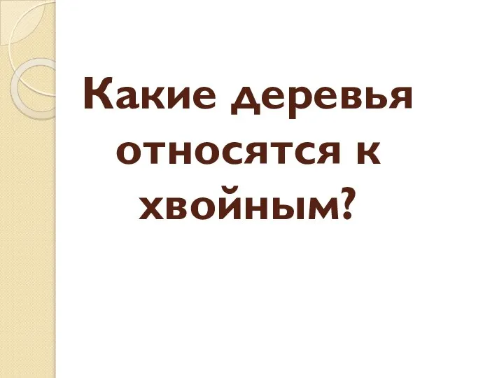 Какие деревья относятся к хвойным?