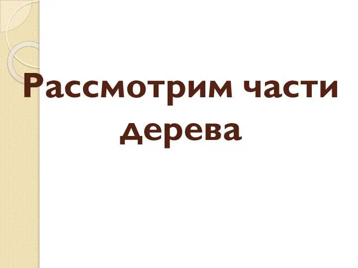 Рассмотрим части дерева