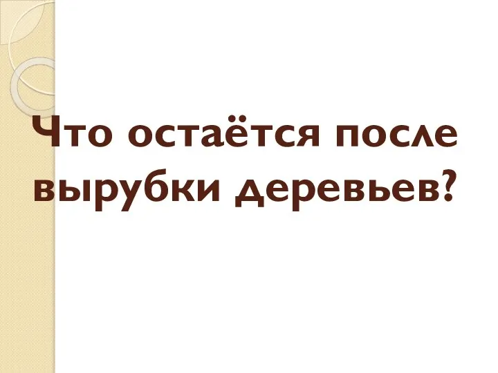 Что остаётся после вырубки деревьев?