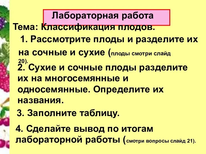 Лабораторная работа Тема: Классификация плодов. 1. Рассмотрите плоды и разделите их