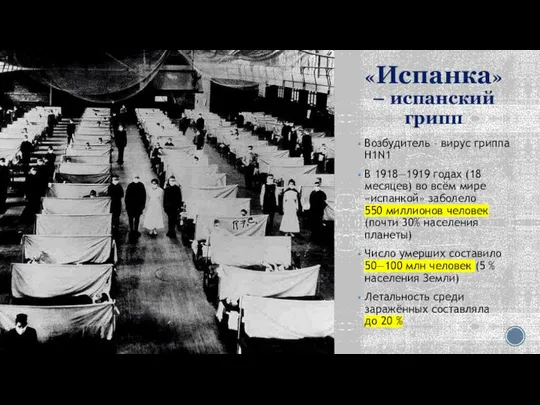 «Испанка» – испанский грипп Возбудитель – вирус гриппа H1N1 В 1918—1919