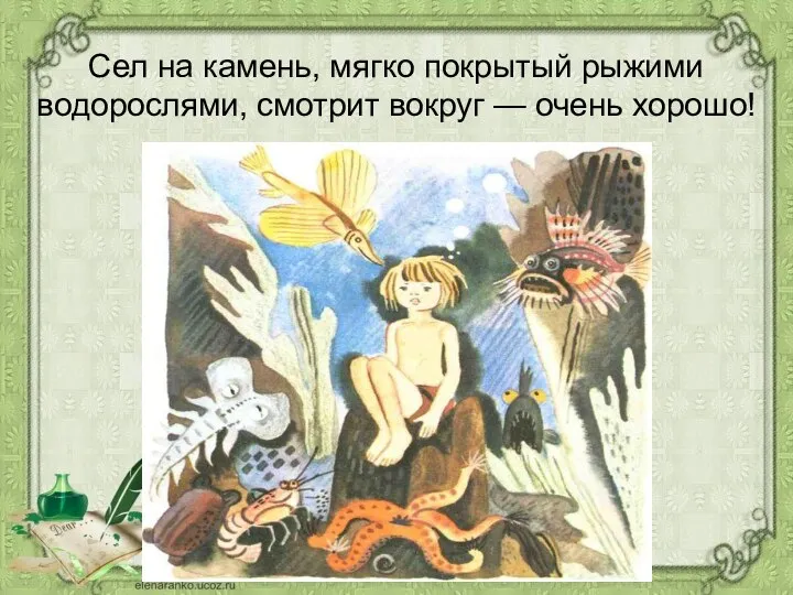 Сел на камень, мягко покрытый рыжими водорослями, смотрит вокруг — очень хорошо!