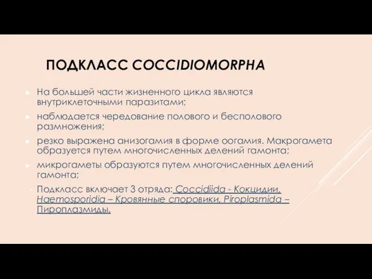 ПОДКЛАСС COCCIDIOMORPHA На большей части жизненного цикла являются внутриклеточными паразитами; наблюдается