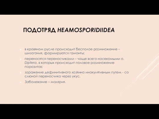 ПОДОТРЯД HEAMOSPORIDIIDEA в кровяном русле происходит бесполое размножение – шизогония, формируются