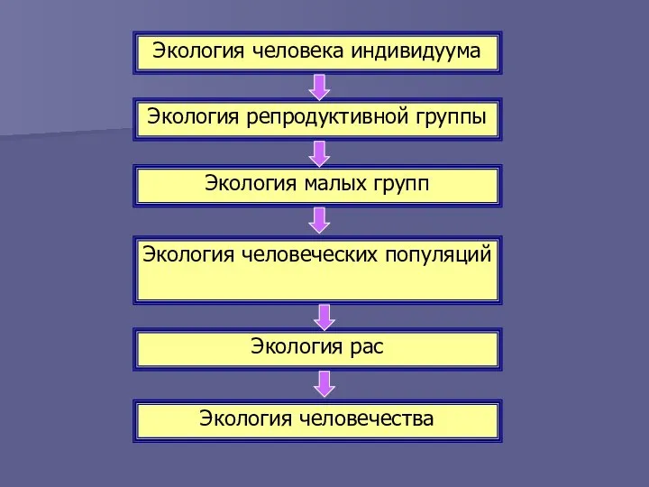 Экология человека индивидуума Экология репродуктивной группы Экология малых групп Экология человеческих популяций Экология рас Экология человечества