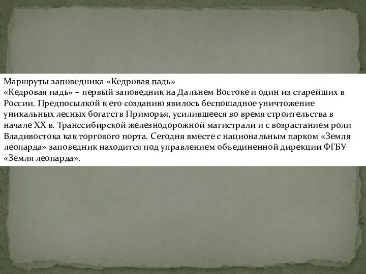 Маршруты заповедника «Кедровая падь» «Кедровая падь» – первый заповедник на Дальнем