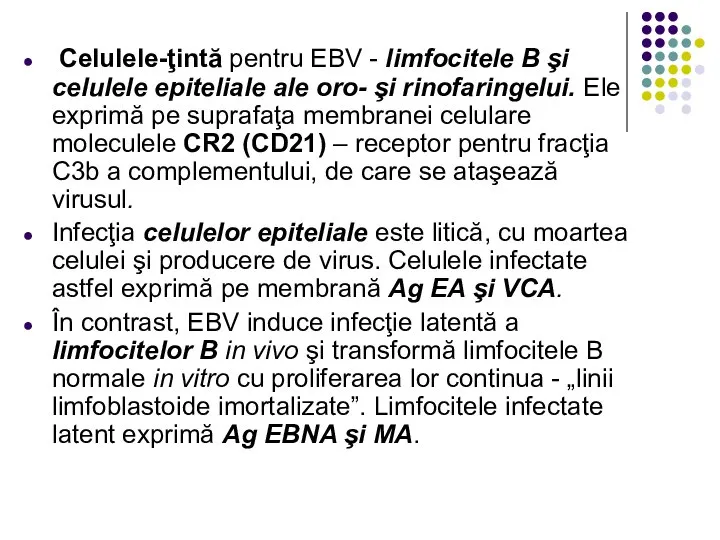 Celulele-ţintă pentru EBV - limfocitele B şi celulele epiteliale ale oro-