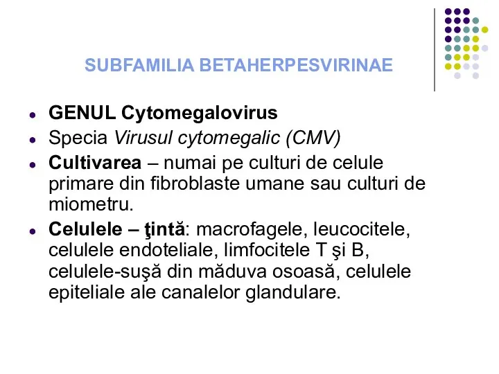 SUBFAMILIA BETAHERPESVIRINAE GENUL Cytomegalovirus Specia Virusul cytomegalic (CMV) Cultivarea – numai