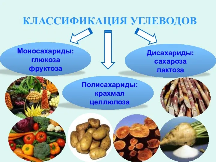 КЛАССИФИКАЦИЯ УГЛЕВОДОВ Моносахариды: глюкоза фруктоза Полисахариды: крахмал целлюлоза Дисахариды: сахароза лактоза