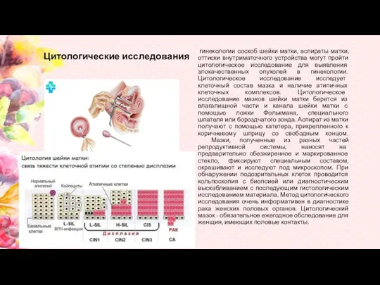 Цитологические исследования гинекологии соскоб шейки матки, аспираты матки, оттиски внутриматочного устройства