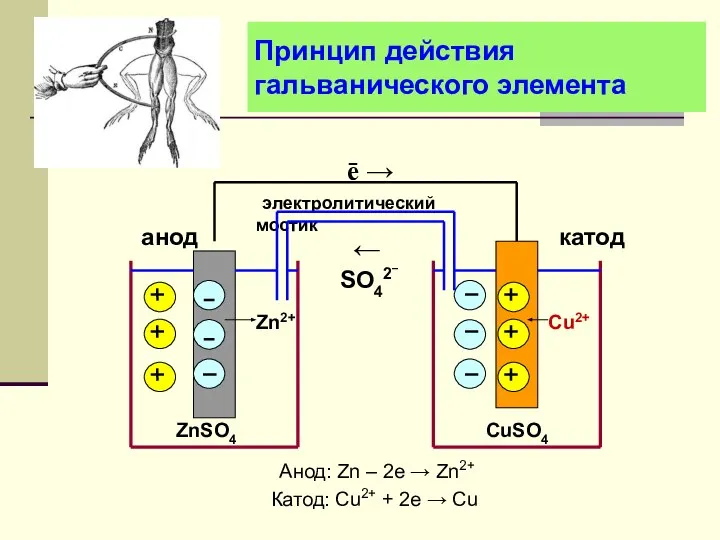 Принцип действия гальванического элемента Анод: Zn – 2e → Zn2+ Катод: Сu2+ + 2e → Cu