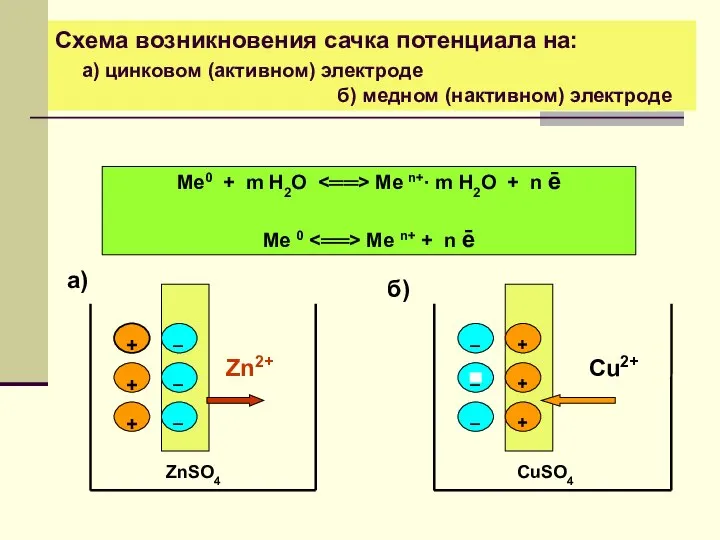 Cхема возникновения сачка потенциала на: а) цинковом (активном) электроде б) медном (нактивном) электроде