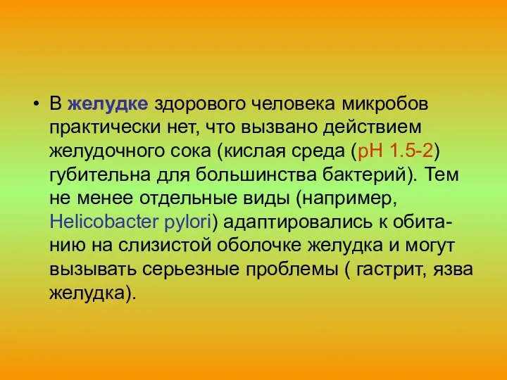 В желудке здорового человека микробов практически нет, что вызвано действием желудочного