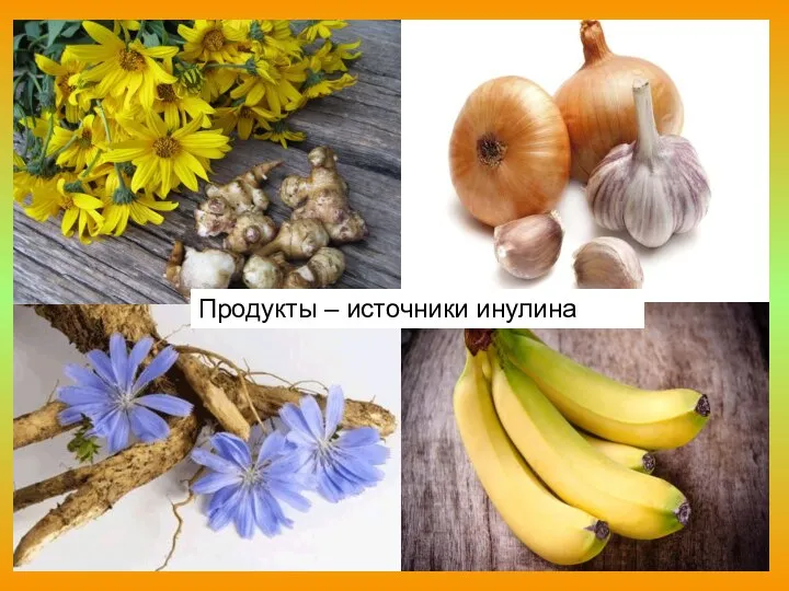 Продукты – источники инулина