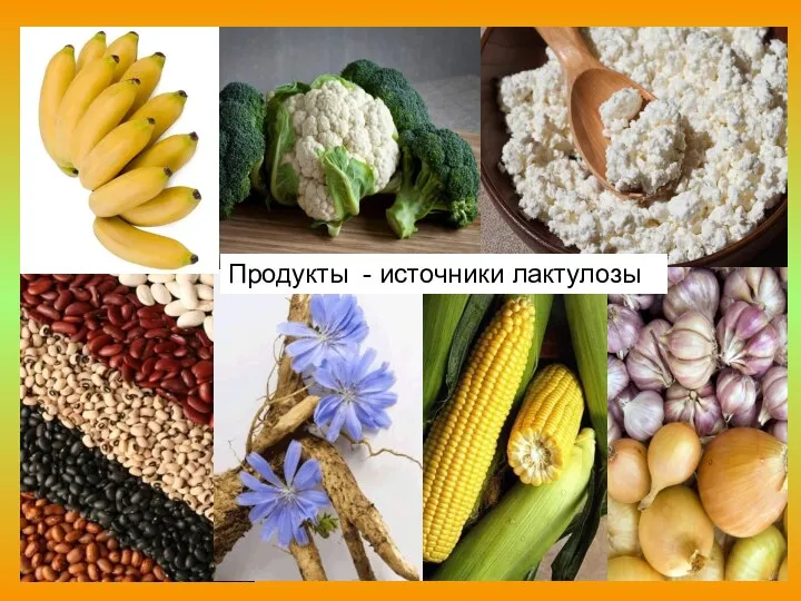 Продукты - источники лактулозы