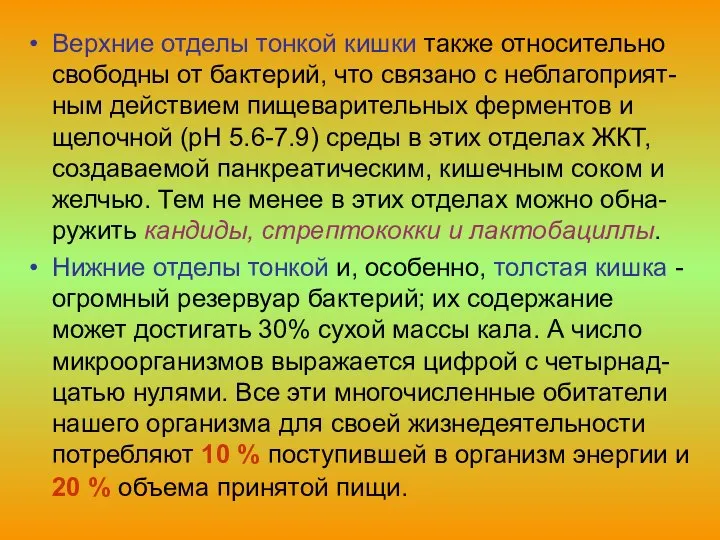 Верхние отделы тонкой кишки также относительно свободны от бактерий, что связано