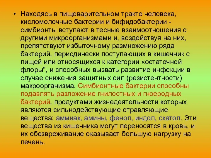 Находясь в пищеварительном тракте человека, кисломолочные бактерии и бифидобактерии -симбионты вступают