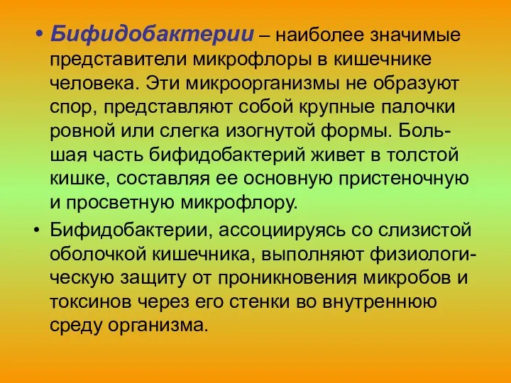 Бифидобактерии – наиболее значимые представители микрофлоры в кишечнике человека. Эти микроорганизмы