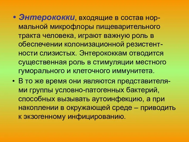 Энтерококки, входящие в состав нор-мальной микрофлоры пищеварительного тракта человека, играют важную