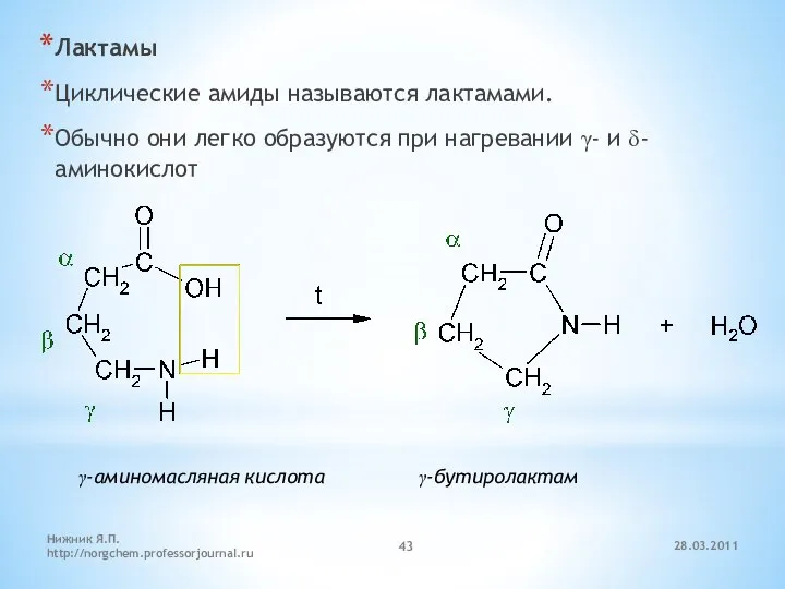 Лактамы Циклические амиды называются лактамами. Обычно они легко образуются при нагревании