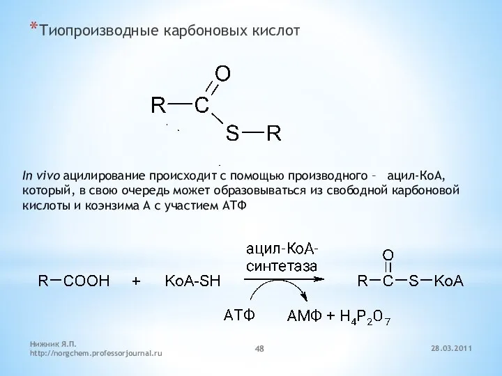 Тиопроизводные карбоновых кислот In vivo ацилирование происходит с помощью производного –