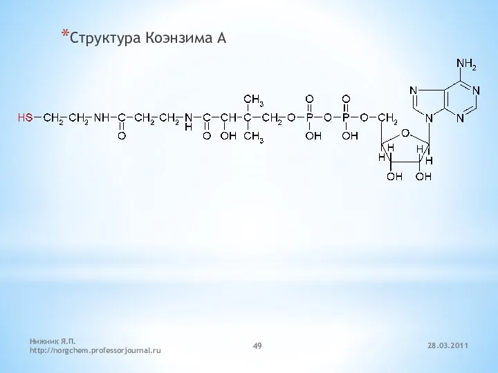 Структура Коэнзима А 28.03.2011 Нижник Я.П. http://norgchem.professorjournal.ru