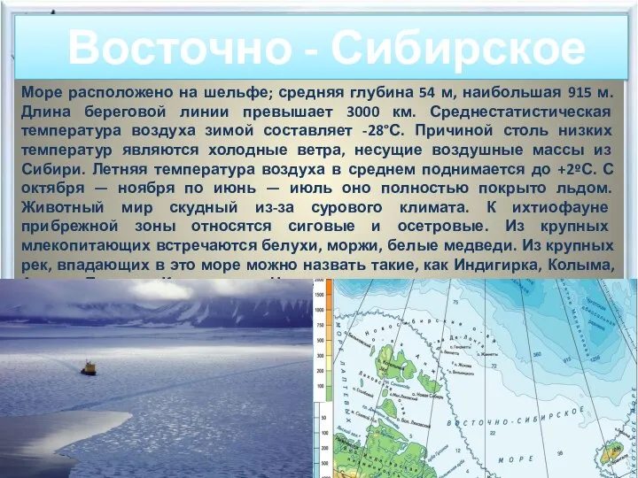 Восточно - Сибирское море Море расположено на шельфе; средняя глубина 54