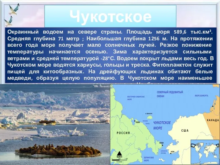 Чукотское море Окраинный водоем на севере страны. Площадь моря 589,6 тыс.км².