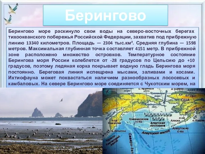 Берингово море Берингово море раскинуло свои воды на северо-восточных берегах тихоокеанского