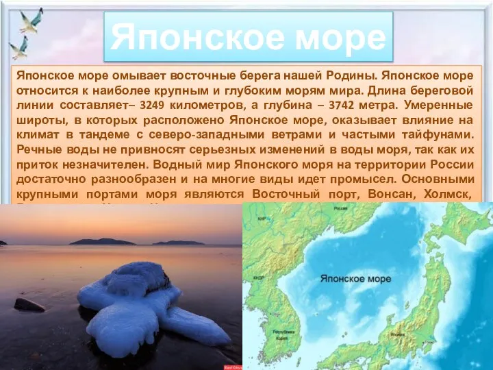 Японское море Японское море омывает восточные берега нашей Родины. Японское море