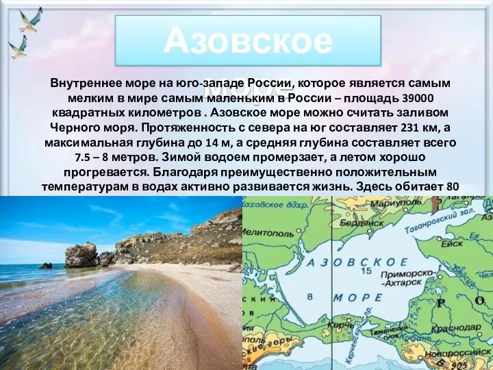 Азовское море Внутреннее море на юго-западе России, которое является самым мелким