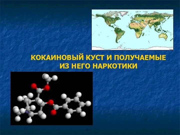 КОКАИНОВЫЙ КУСТ И ПОЛУЧАЕМЫЕ ИЗ НЕГО НАРКОТИКИ