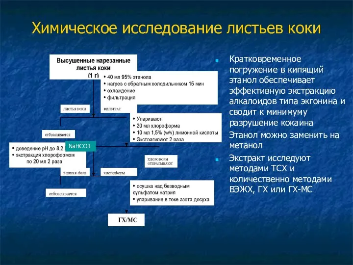 Химическое исследование листьев коки Кратковременное погружение в кипящий этанол обеспечивает эффективную