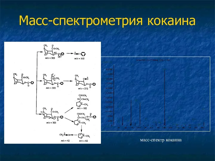 Масс-спектрометрия кокаина масс-спектр кокаина