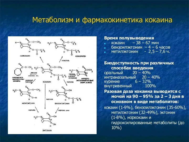 Метаболизм и фармакокинетика кокаина Время полувыведения кокаин – 38 – 67