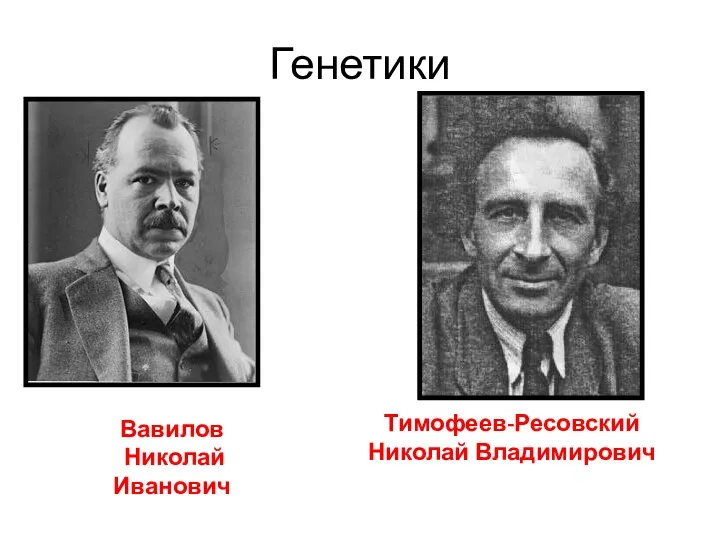 Генетики Вавилов Николай Иванович Тимофеев-Ресовский Николай Владимирович