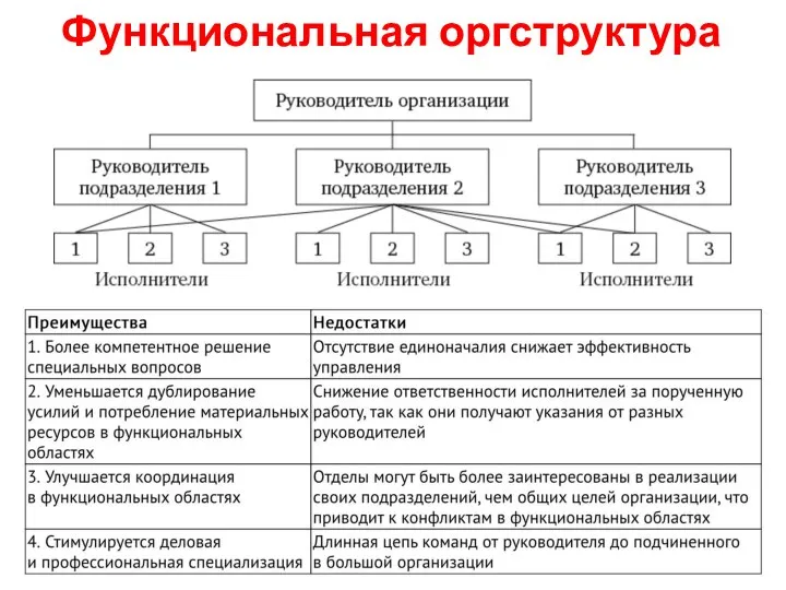 Функциональная оргструктура